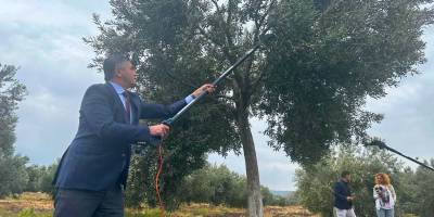 Aliağa, 4. Zeytin Hasat Şenliği’nde Buluşuyor