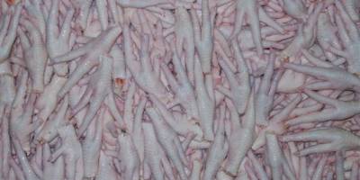 Çin’e tavuk ayağı ihracat izni çıkarsa 200 milyon dolarlık ihracat yapabiliriz