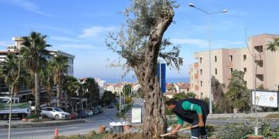 KUŞADASI BELEDİYESİ’NDEN PEYZAJ DÜZENLEMELERİNE SU TASARRUFU PLANLAMASI