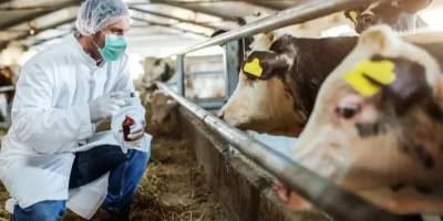 İTB’de ‘şap’ uyarısı: Et ve süt fiyatlarını etkileyebilir!