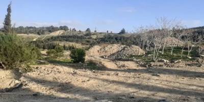 Bakanlık onay verdi... Orman arazisine moloz tesisi!