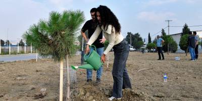 ZMO Genç 120 fıstık çamı fidanını toprakla buluşturdu