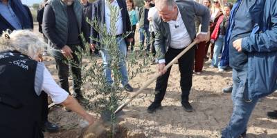 Atatürk’ün Vasiyeti Urla’da Hayata Geçti: Zeytin Koleksiyon Bahçesi’nde İlk Fidan Dikimi