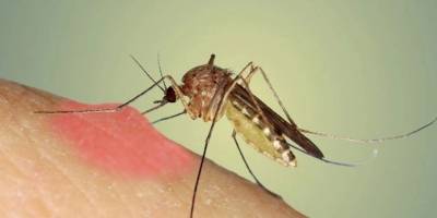 Tabip Odası'ndan enfeksiyon uyarısı!