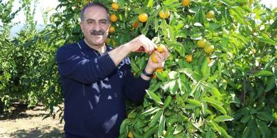 Başkan Uçak, tarla-market ilişkisini yorumladı: Suçlu hava, havayı yapan Allah, Allah’ı da suçlayamayız!