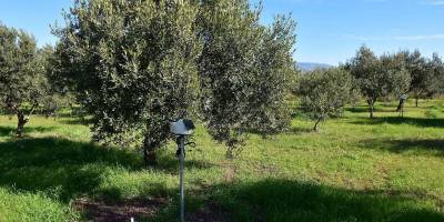 Tarım alarm veriyor: Çözüm yağmurda!