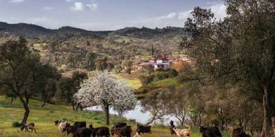Yargı sürerken bakanlıktan yeni hamle: Sakin Şehir'de JES planı!