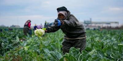İzmir’in kışlık sebze deposunda çöküş: “Millet kafayı sıyıracak noktada!”