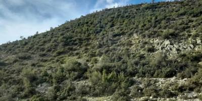 Metropolis'i kurtaran karar... Belçikalı şirkete üçüncü veto!