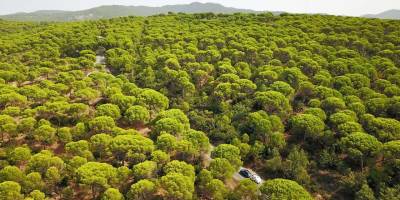 Kozak köylüsünün sevinci yarım kaldı… Bakanlık’tan yeni ÇED!