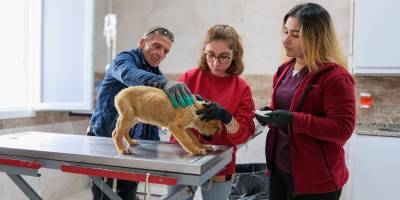 Can dostlar için Menemen'de rekor tedavi sayısına ulaşıldı