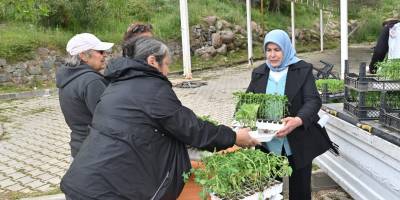 150 bin yazlık sebze fidesi dağıtıldı