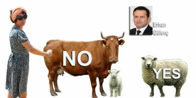 Neptün Hanım’dan İnciler...