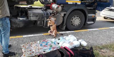 Tırdan 20 kilo uyuşturucu çıktı