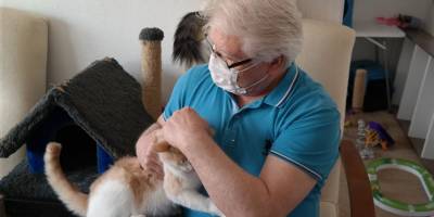 Bu otelde kediler çok rahat