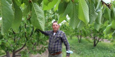 Doluyu 4 dönümlük fileyle durdurdu