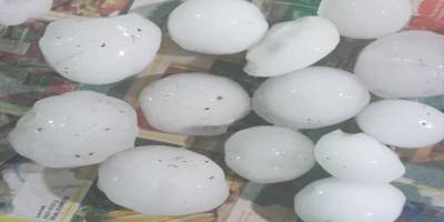 Dolu mağduru Urla’da bu kez de don endişesi