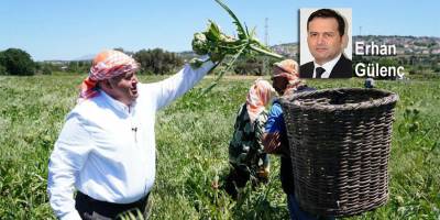 Engin-ar-sız belediye!