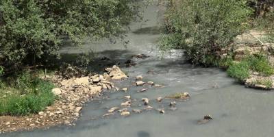 Ümmü kızın türküsü de kuraklığa yenildi