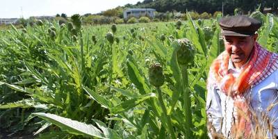 "BAŞKA BİR TARIM MÜMKÜN" KAYIĞINI, BORDADAN AKP İKTİDARIYLA SERMAYENİN GEMİSİNE YANAŞTIRMAK...