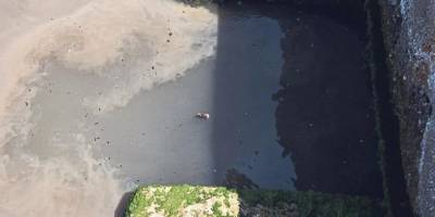 Yüzülebilir Körfez hayallerde kaldı!