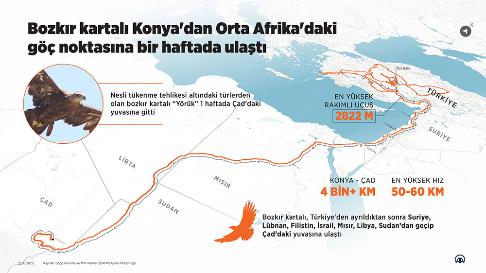 aa-20221025-29246663-29246662-konyada-takibe-alinan-bozkir-kartali-bir-haftada-orta-afrikaya-ulasti.jpg