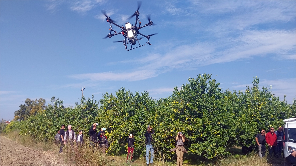 aa-20221108-29385806-29385795-ortacada-bir-narenciye-bahcesinde-dron-ile-ilaclama-yapildi.jpg