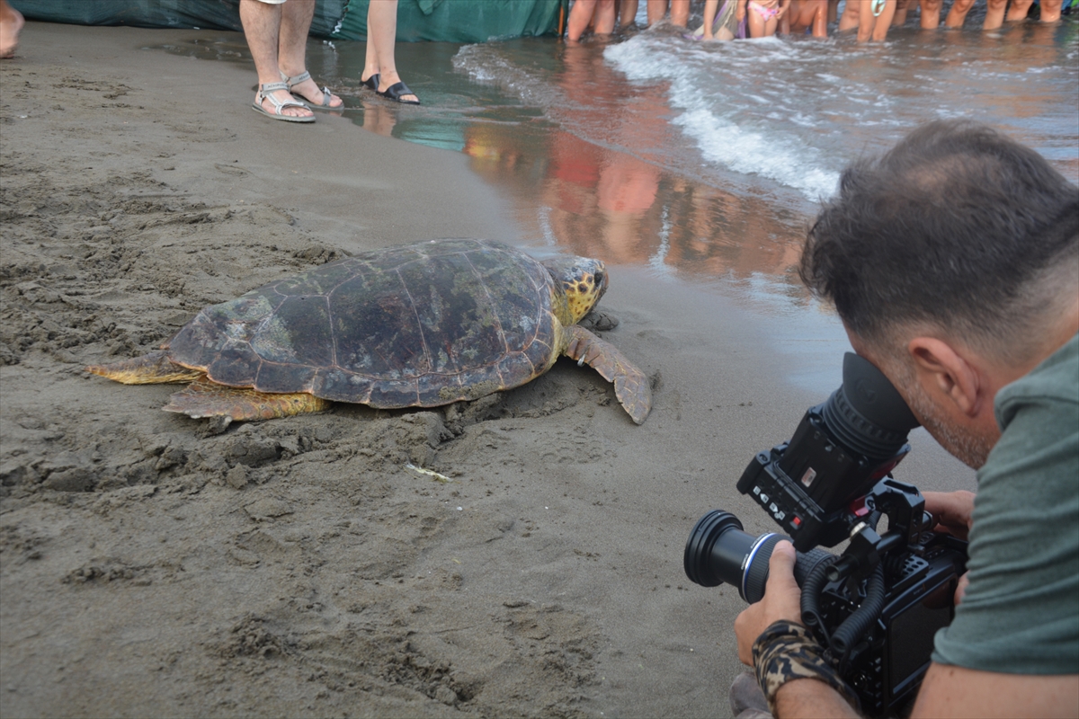 aa-20240719-35187331-35187328-muglada-tedavileri-tamamlanan-caretta-carettalar-denizle-bulustu.jpg