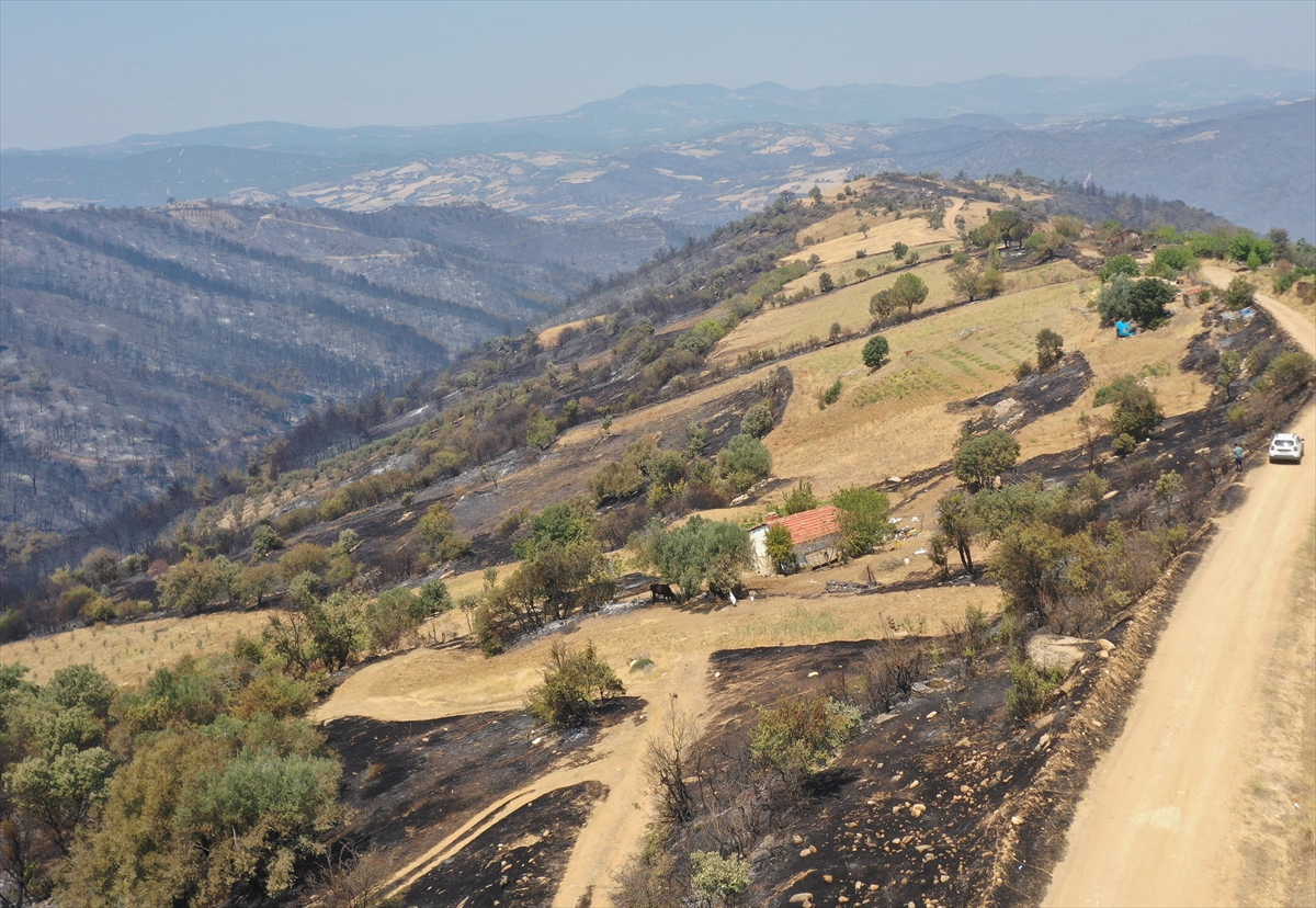 aa-20240817-35425236-35425231-yasli-kadin-kuru-otlari-temizleyerek-evini-orman-yanginindan-kurtardi.jpg