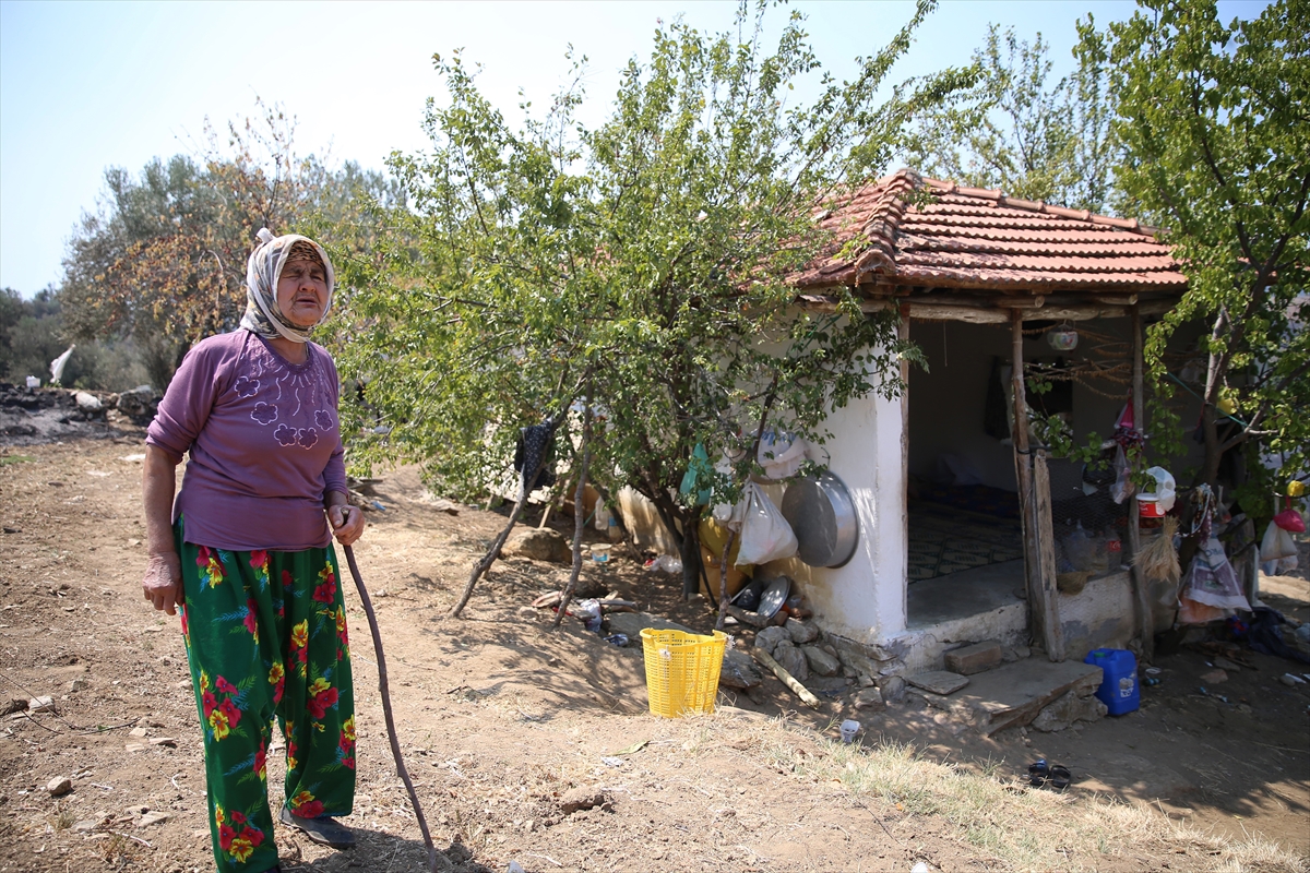 aa-20240817-35425236-35425234-yasli-kadin-kuru-otlari-temizleyerek-evini-orman-yanginindan-kurtardi.jpg