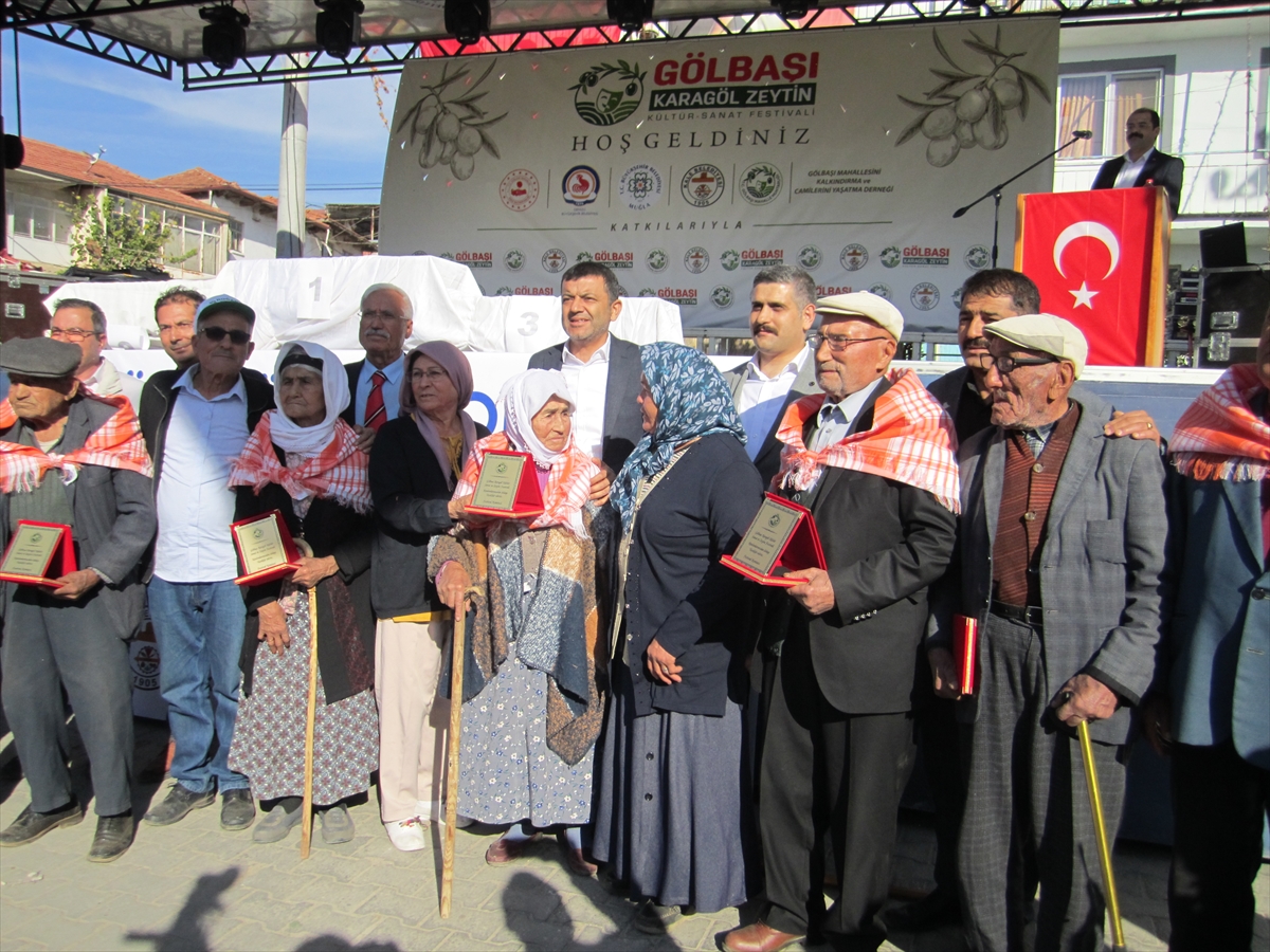 aa-20241104-36098583-36098576-kalede-zeytin-festivali-duzenlendi.jpg