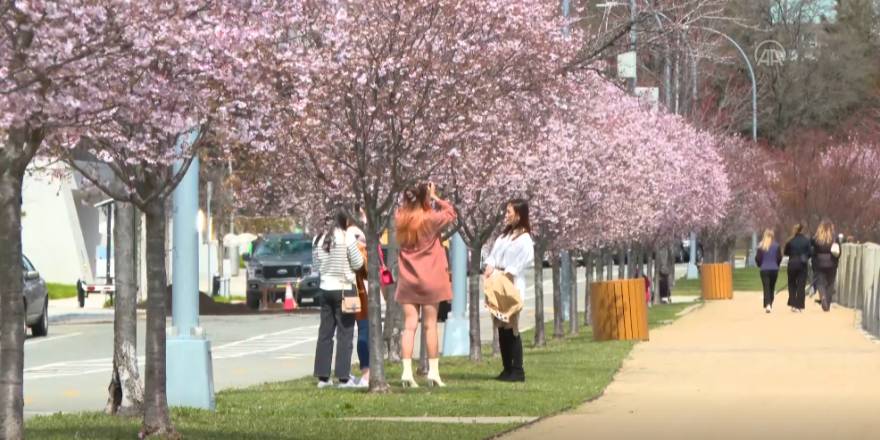 New York'ta ilkbahar