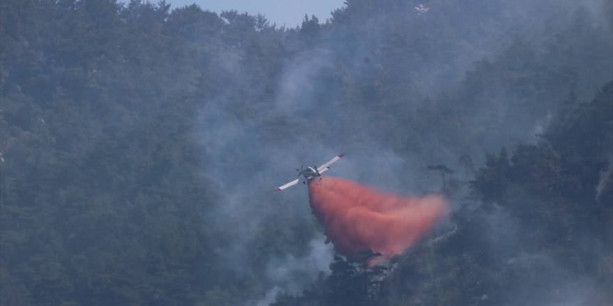 Bakan Kirişci: "(Datça'daki) Yangın kontrol altına alınmıştır"