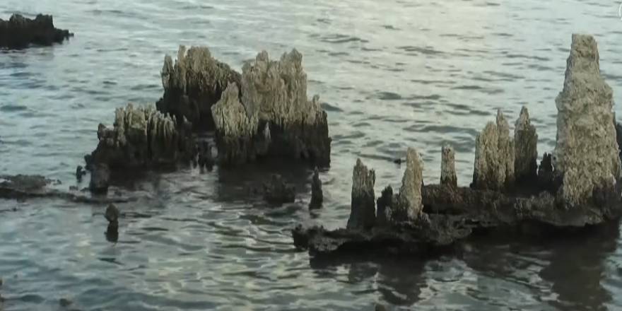 Binlerce yılda oluşan mikrobiyalitler Van Gölü'nün çekilmesiyle gün yüzüne çıktı