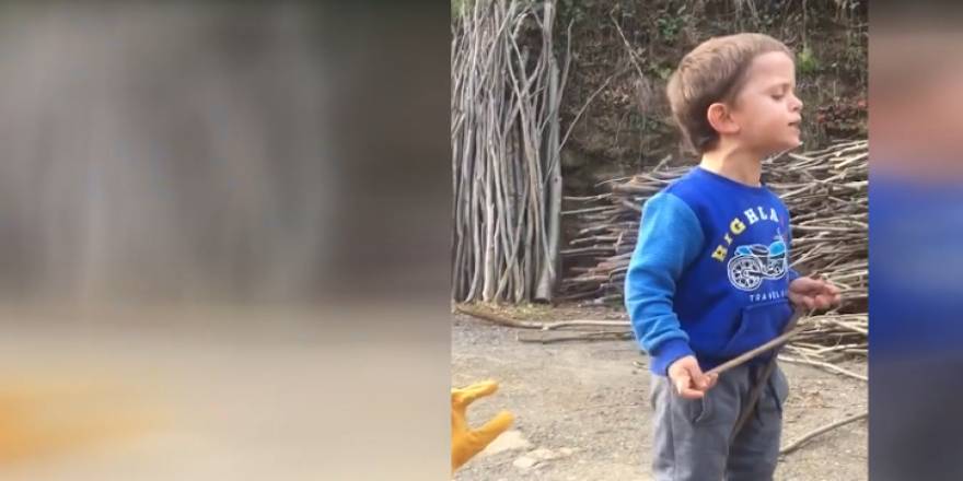 Küçük Mustafa'nın ağaç dallarıyla "kemençe performansı"