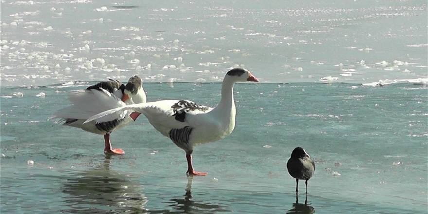 Bozdağ'daki Gölcük Gölü buz tuttu