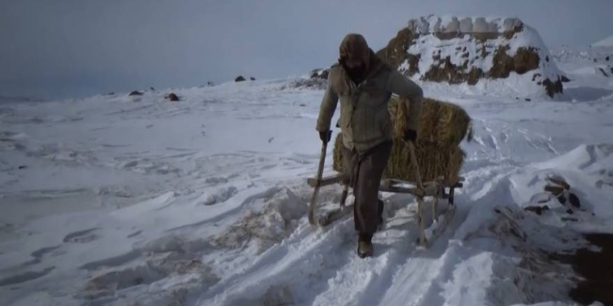 Muş'ta besiciler zorlu kış koşullarında kızakla taşıdıkları otla hayvanlarını besliyor